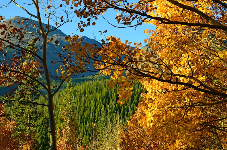  Fern Lake Trail Estes Park Colorado