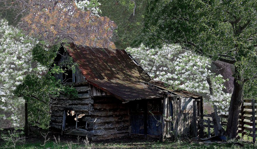 Mrs. Cornelia's Corn Crib Wheelock, TX