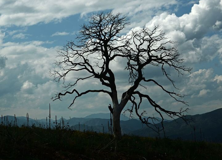 Royal Gorge Fire Fatality 2013