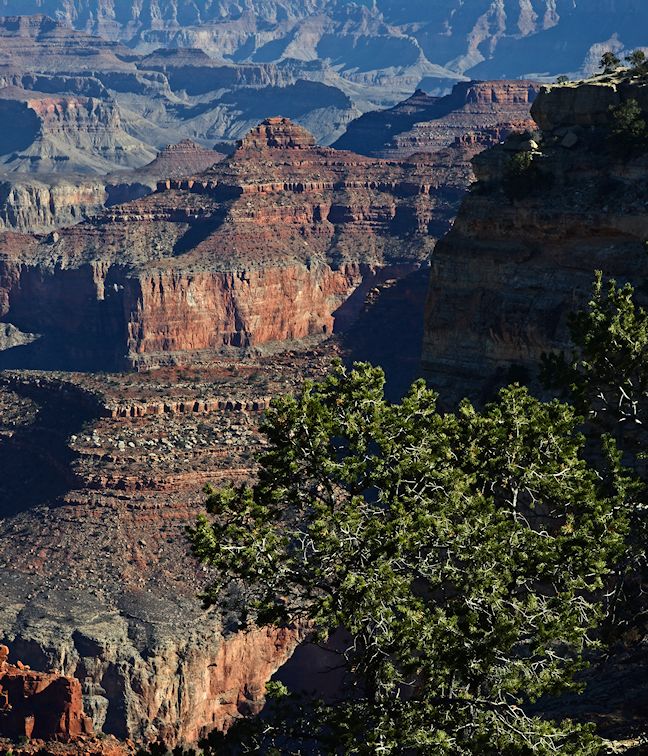   View of Grand Canyon South Rim 4